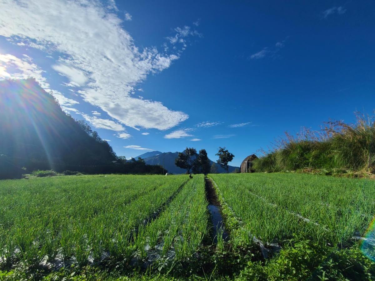 Batur Lake View Kintamani エクステリア 写真